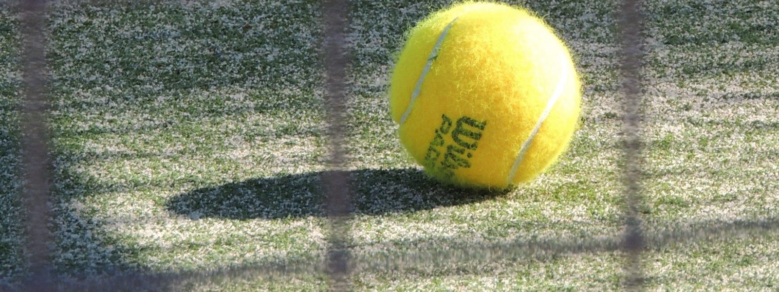 tennisbal op grasbaan